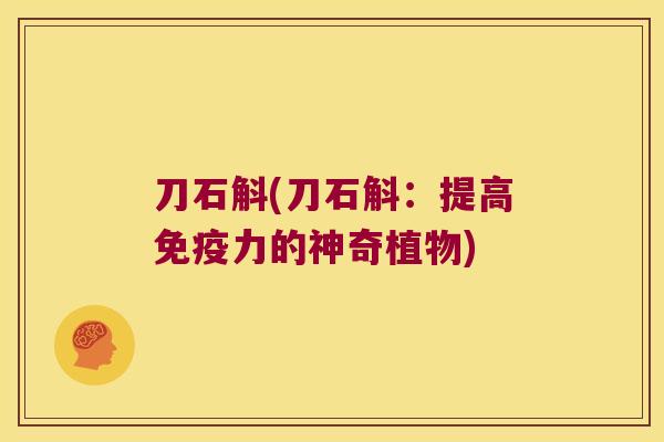 刀石斛(刀石斛：提高免疫力的神奇植物)