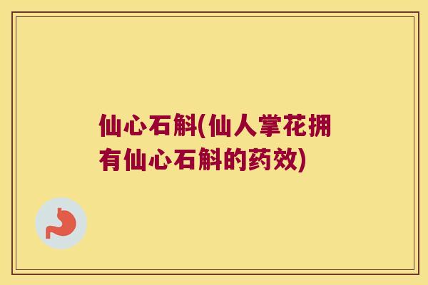仙心石斛(仙人掌花拥有仙心石斛的药效)