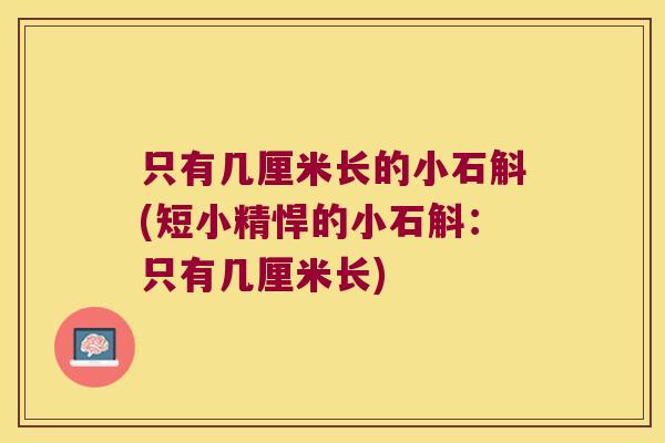 只有几厘米长的小石斛(短小精悍的小石斛：只有几厘米长)