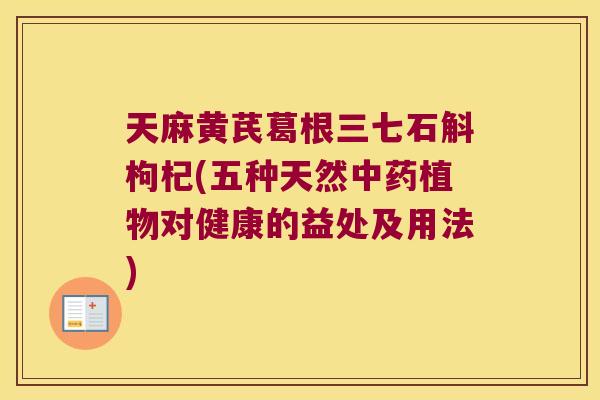 天麻黄芪葛根三七石斛枸杞(五种天然植物对健康的益处及用法) 天麻黄芪葛根三七石斛枸杞(五种天然植物对健康的益处及用法)