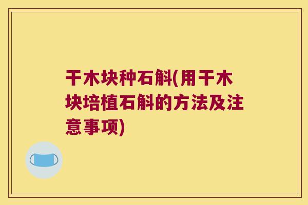 干木块种石斛(用干木块培植石斛的方法及注意事项)