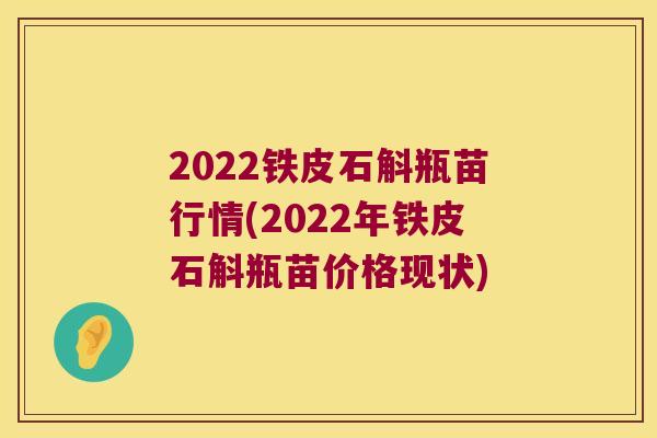 2022铁皮石斛瓶苗行情(2022年铁皮石斛瓶苗价格现状)