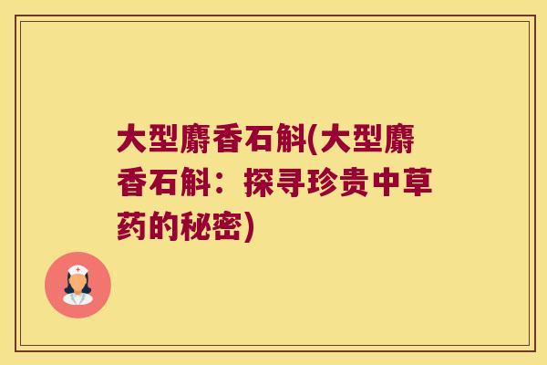 大型麝香石斛(大型麝香石斛：探寻珍贵中草药的秘密)