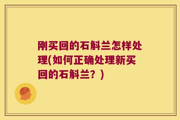 刚买回的石斛兰怎样处理(如何正确处理新买回的石斛兰？)