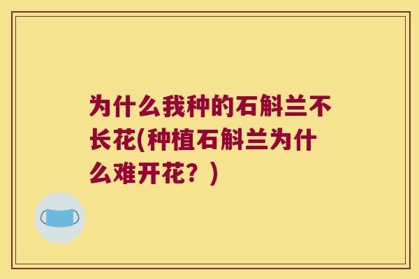 为什么我种的石斛兰不长花(种植石斛兰为什么难开花？)