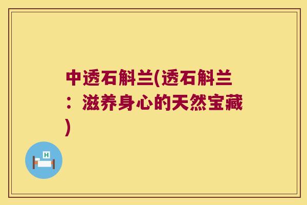 中透石斛兰(透石斛兰：滋养身心的天然宝藏)
