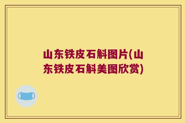 山东铁皮石斛图片(山东铁皮石斛美图欣赏)