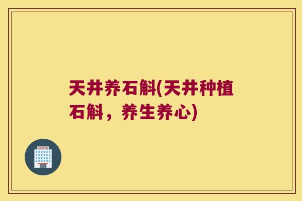 天井养石斛(天井种植石斛，养生养心)