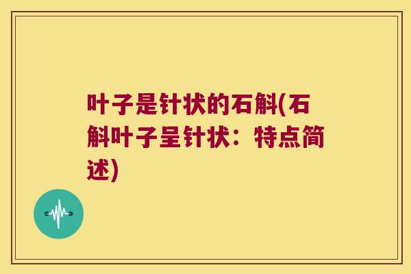 叶子是针状的石斛(石斛叶子呈针状：特点简述)