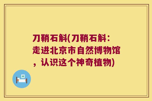 刀鞘石斛(刀鞘石斛：走进北京市自然博物馆，认识这个神奇植物)