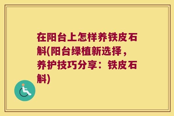 在阳台上怎样养铁皮石斛(阳台绿植新选择，养护技巧分享：铁皮石斛)