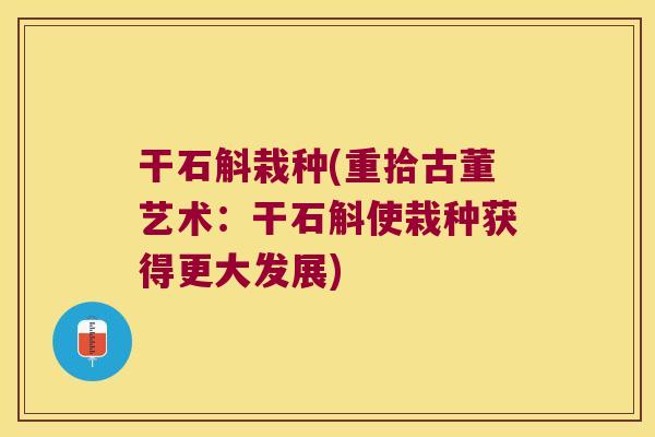 干石斛栽种(重拾古董艺术：干石斛使栽种获得更大发展)