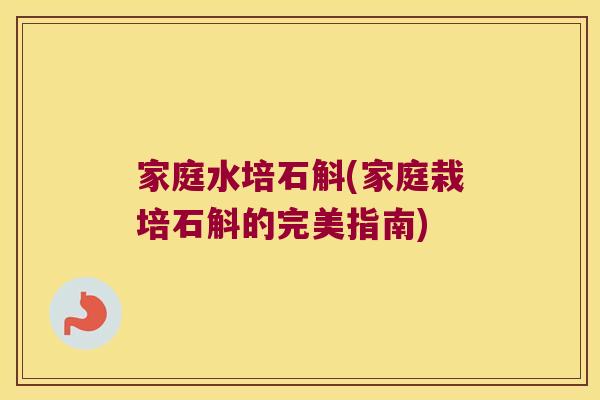 家庭水培石斛(家庭栽培石斛的完美指南)