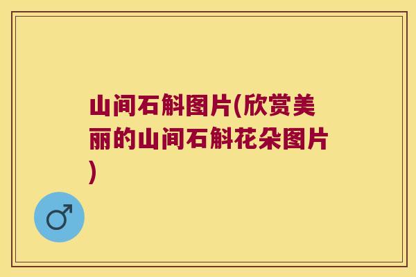 山间石斛图片(欣赏美丽的山间石斛花朵图片)
