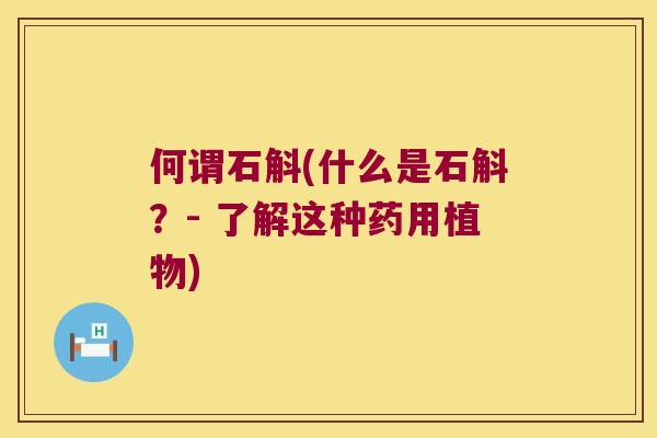 何谓石斛(什么是石斛？- 了解这种药用植物)