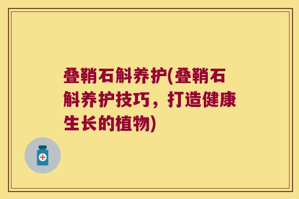 叠鞘石斛养护(叠鞘石斛养护技巧，打造健康生长的植物)