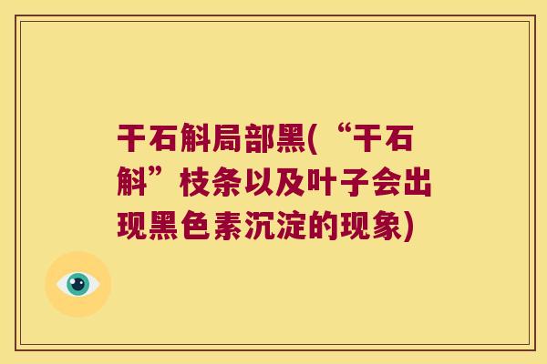 干石斛局部黑(“干石斛”枝条以及叶子会出现黑色素沉淀的现象)