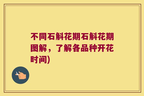 不同石斛花期石斛花期图解，了解各品种开花时间)