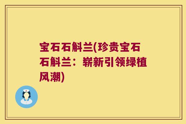 宝石石斛兰(珍贵宝石石斛兰：崭新引领绿植风潮)