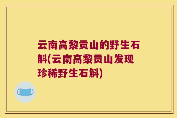 云南高黎贡山的野生石斛(云南高黎贡山发现珍稀野生石斛)