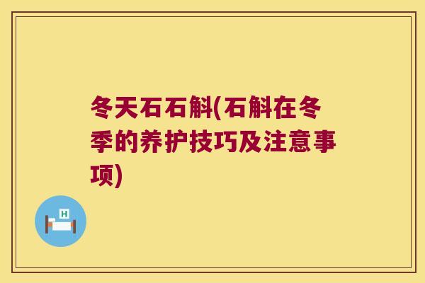 冬天石石斛(石斛在冬季的养护技巧及注意事项)