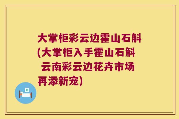 大掌柜彩云边霍山石斛(大掌柜入手霍山石斛 云南彩云边花卉市场再添新宠)