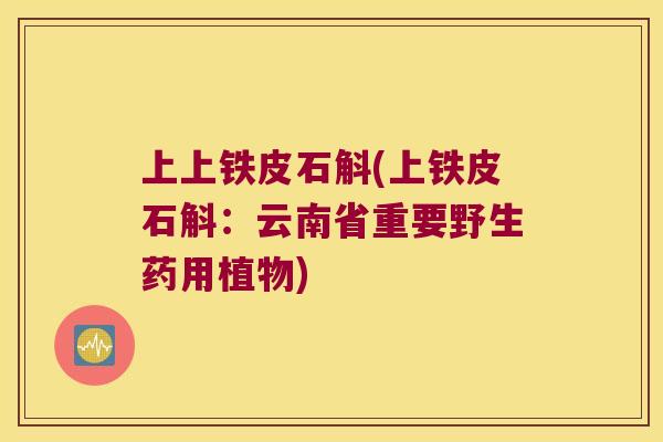 上上铁皮石斛(上铁皮石斛：云南省重要野生药用植物)