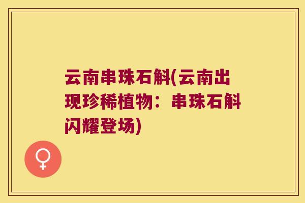云南串珠石斛(云南出现珍稀植物：串珠石斛闪耀登场)