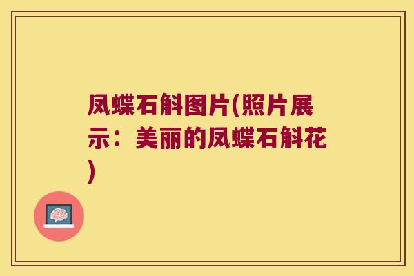 凤蝶石斛图片(照片展示：美丽的凤蝶石斛花)
