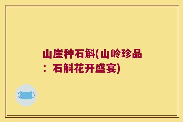 山崖种石斛(山岭珍品：石斛花开盛宴)