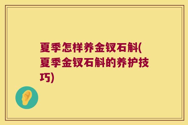 夏季怎样养金钗石斛(夏季金钗石斛的养护技巧) 夏季怎样养金钗石斛(夏季金钗石斛的养护技巧)