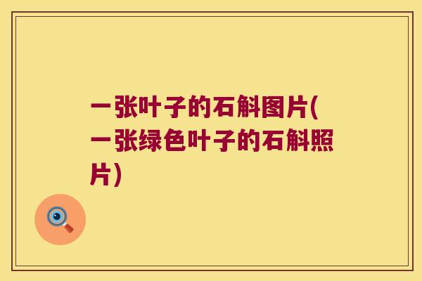 一张叶子的石斛图片(一张绿色叶子的石斛照片)