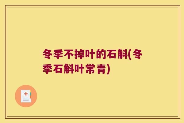 冬季不掉叶的石斛(冬季石斛叶常青)
