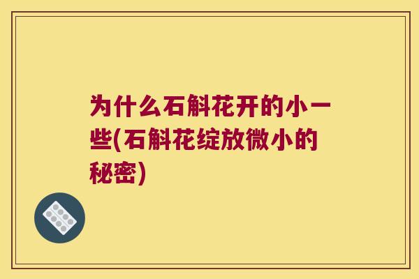 为什么石斛花开的小一些(石斛花绽放微小的秘密)
