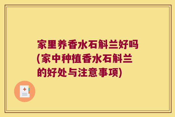 家里养香水石斛兰好吗(家中种植香水石斛兰的好处与注意事项)