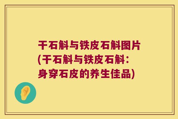 干石斛与铁皮石斛图片(干石斛与铁皮石斛：身穿石皮的养生佳品)