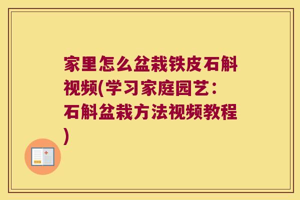 家里怎么盆栽铁皮石斛视频(学习家庭园艺：石斛盆栽方法视频教程)