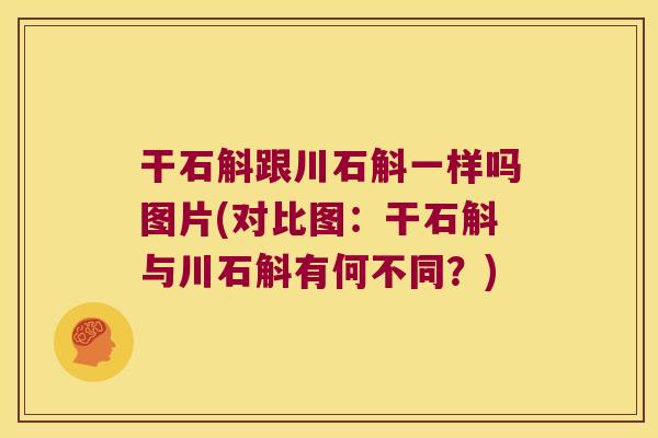 干石斛跟川石斛一样吗图片(对比图：干石斛与川石斛有何不同？)