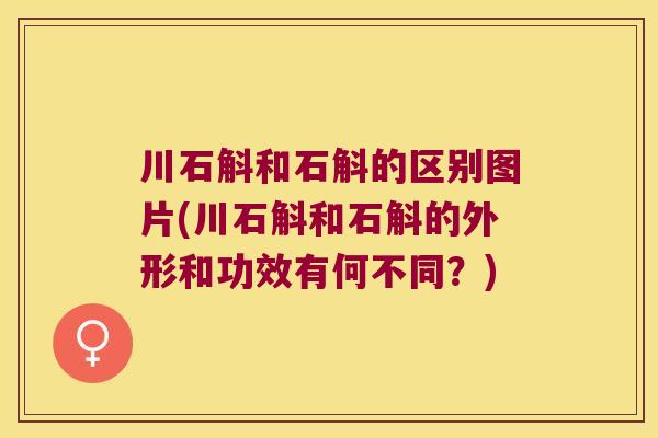 川石斛和石斛的区别图片(川石斛和石斛的外形和功效有何不同？)