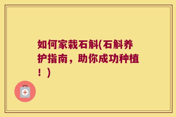 如何家栽石斛(石斛养护指南,助你成功种植!) 如何家栽石斛(石斛养护指南,助你成功种植!)