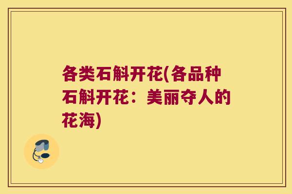 各类石斛开花(各品种石斛开花：美丽夺人的花海)