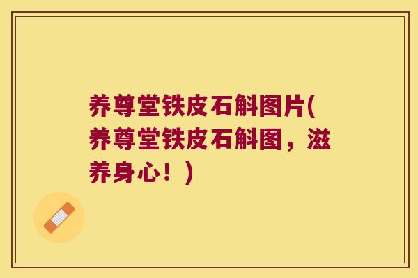 养尊堂铁皮石斛图片(养尊堂铁皮石斛图，滋养身心！)