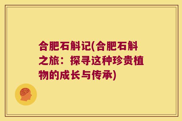合肥石斛记(合肥石斛之旅：探寻这种珍贵植物的成长与传承)