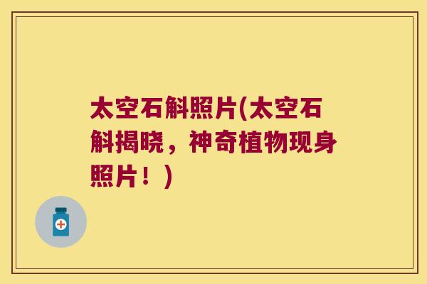 太空石斛照片(太空石斛揭晓，神奇植物现身照片！)
