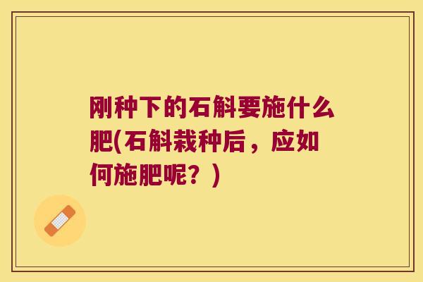 刚种下的石斛要施什么肥(石斛栽种后，应如何施肥呢？)