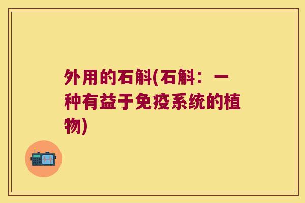 外用的石斛(石斛：一种有益于免疫系统的植物)