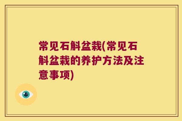 常见石斛盆栽(常见石斛盆栽的养护方法及注意事项)