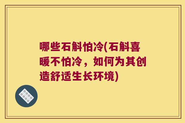哪些石斛怕冷(石斛喜暖不怕冷，如何为其创造舒适生长环境)