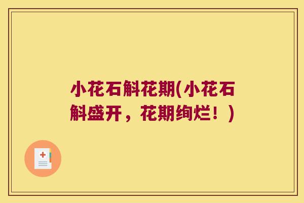 小花石斛花期(小花石斛盛开，花期绚烂！)