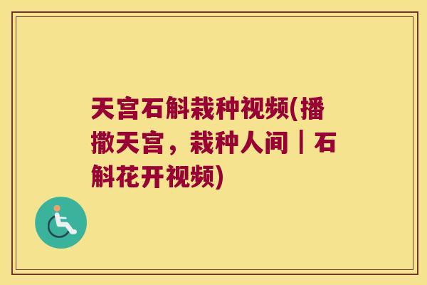 天宫石斛栽种视频(播撒天宫，栽种人间｜石斛花开视频)